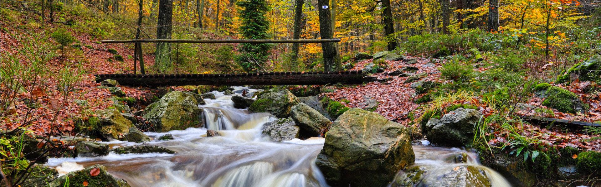 Ardennen